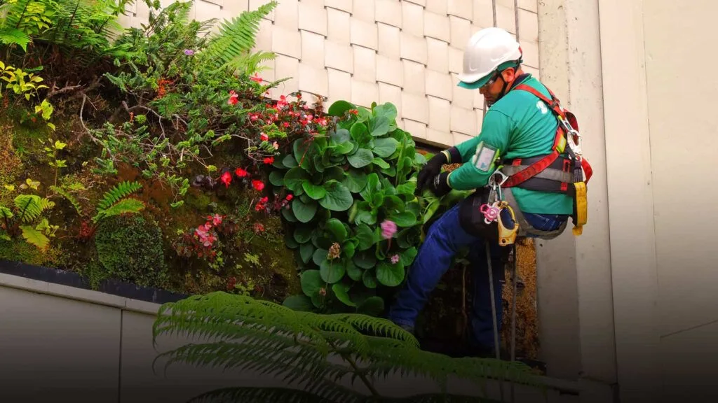 La belleza de la naturaleza en tu hogar