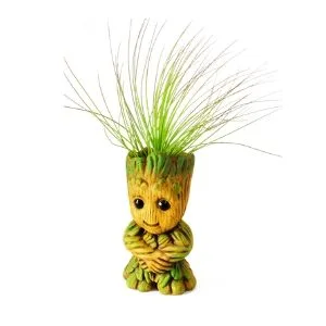 Groot con planta aérea Tillandsia