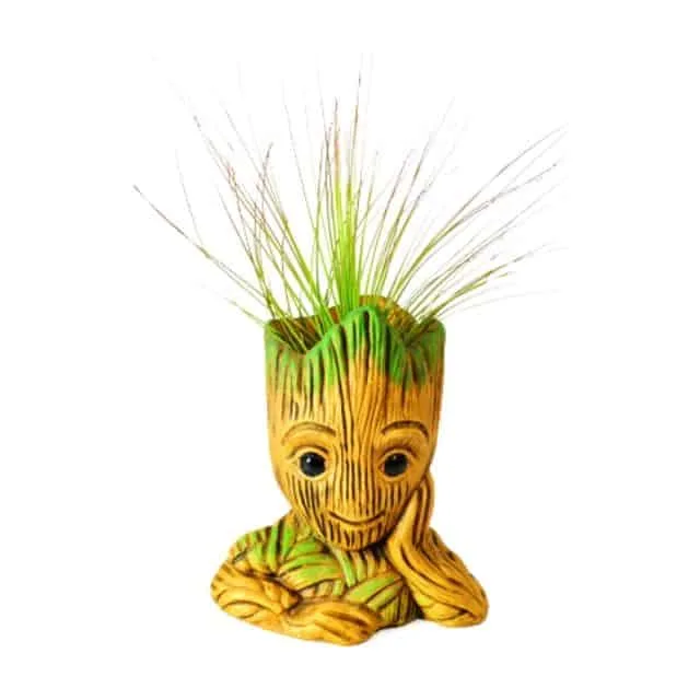 Groot con planta aérea Tillandsia