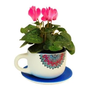 Violeta de los alpes mini en taza decorativa