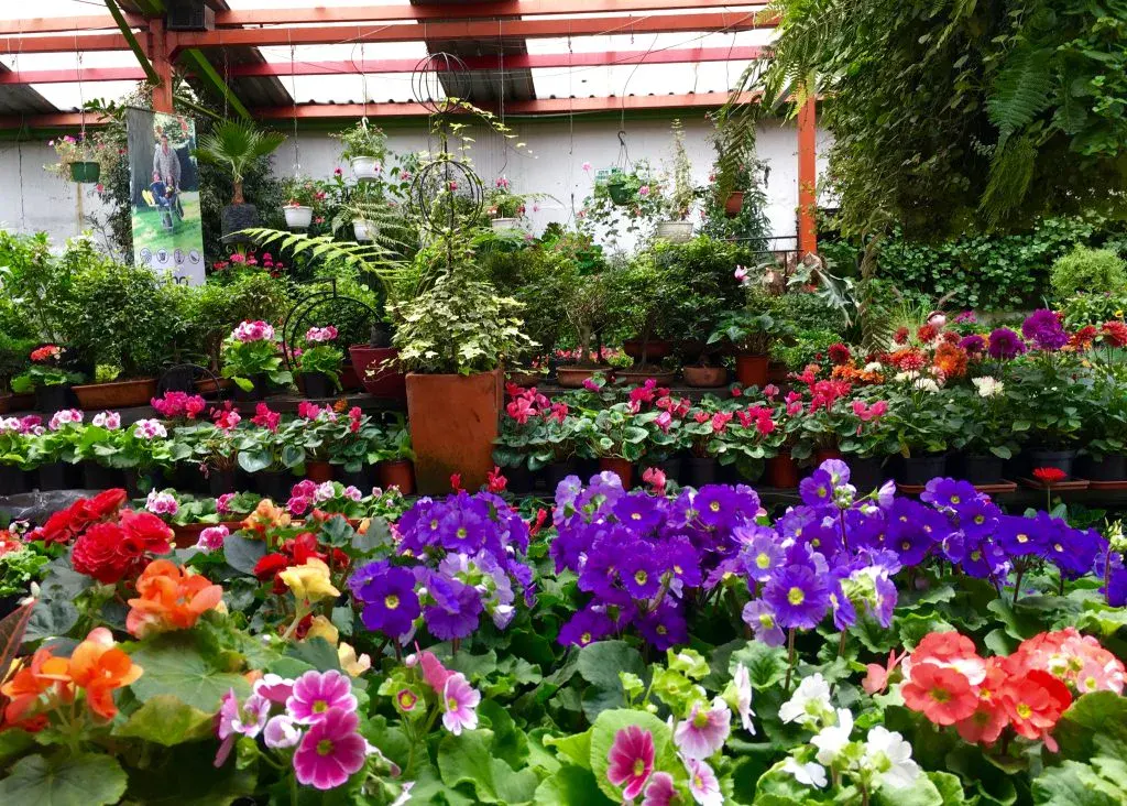 Experiencia Botánica y Vivero en Jardineros SAS