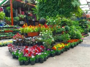 Tendencias en materas para tus plantas