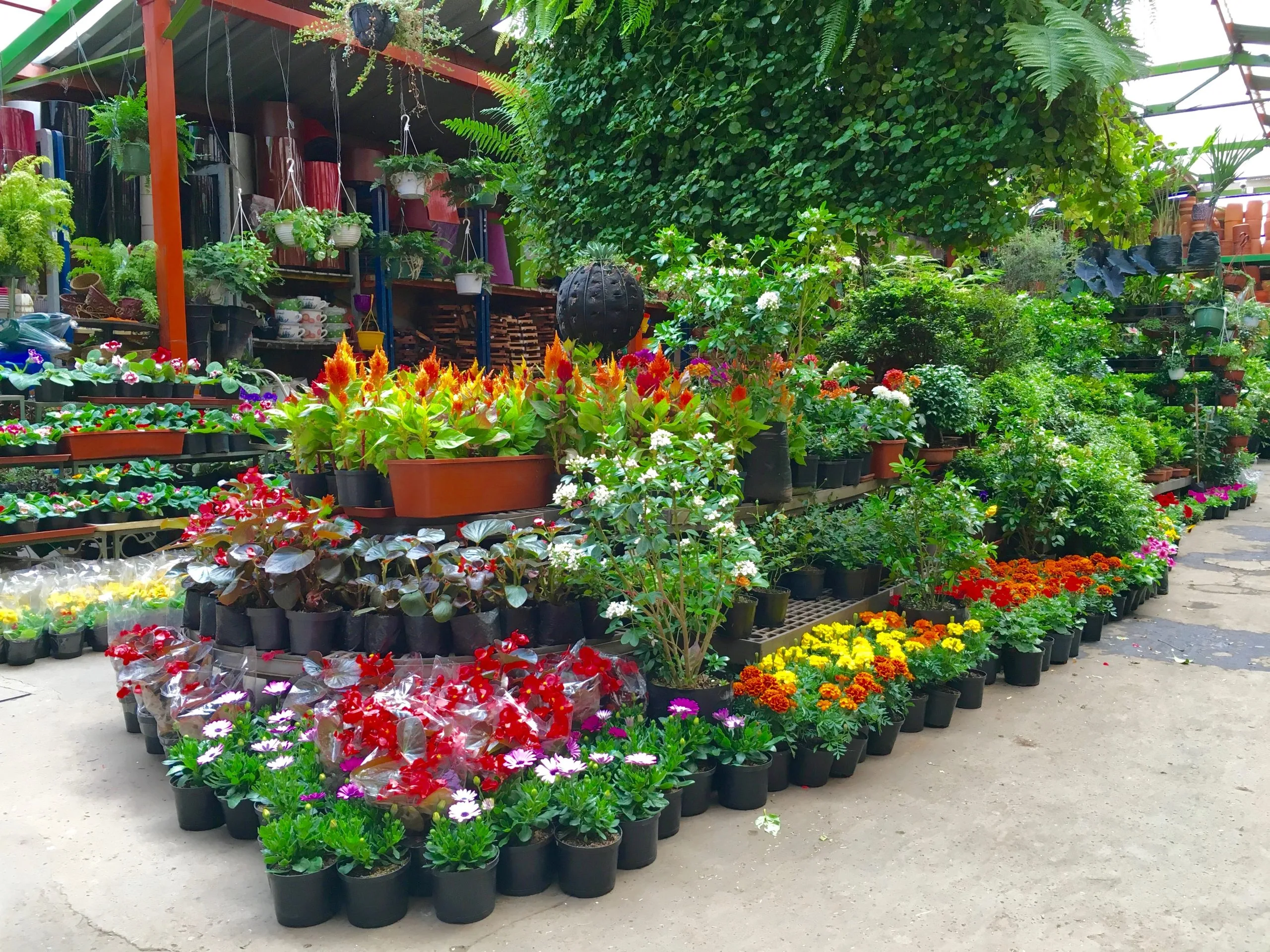 Blog Jardineros SAS