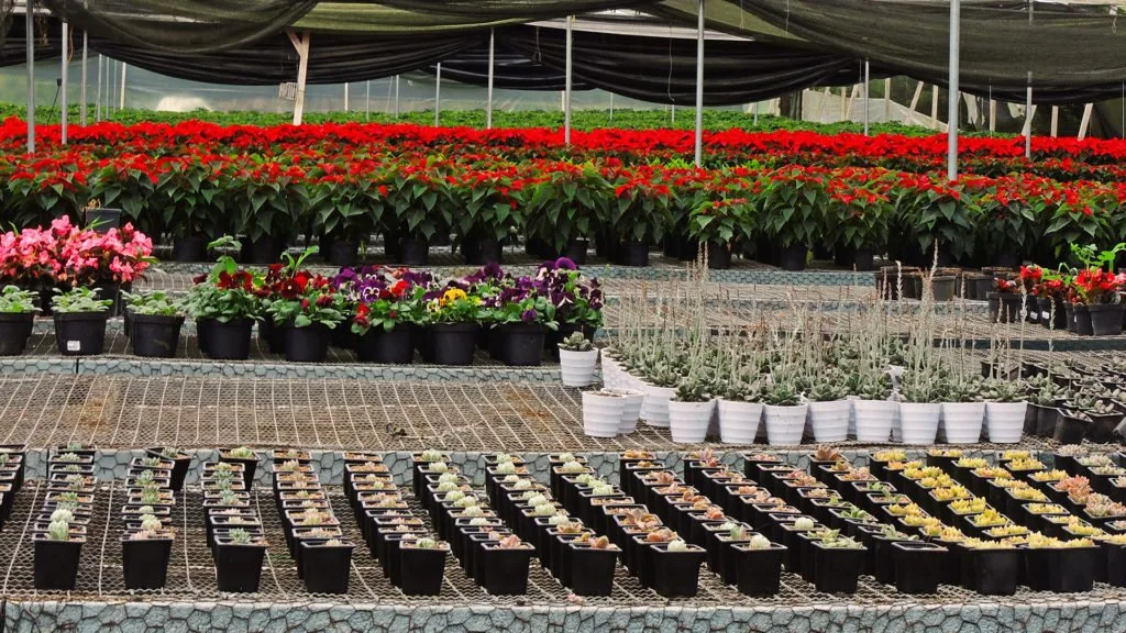 Centros de cultivo y producción botánica Jardineros SAS